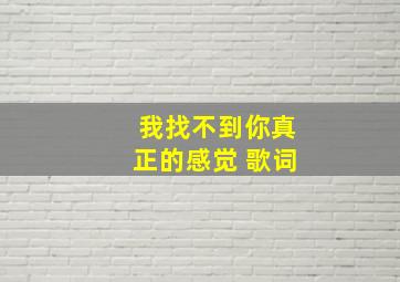 我找不到你真正的感觉 歌词